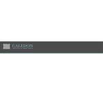 Caledon Institute of Social Policy's Logo
