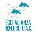 Impulsando Emprendedores de Alternativas Economicas Sustentables's Logo